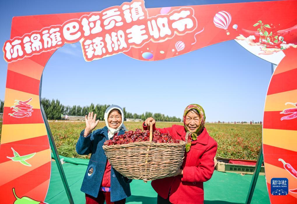 fg电子怎么玩